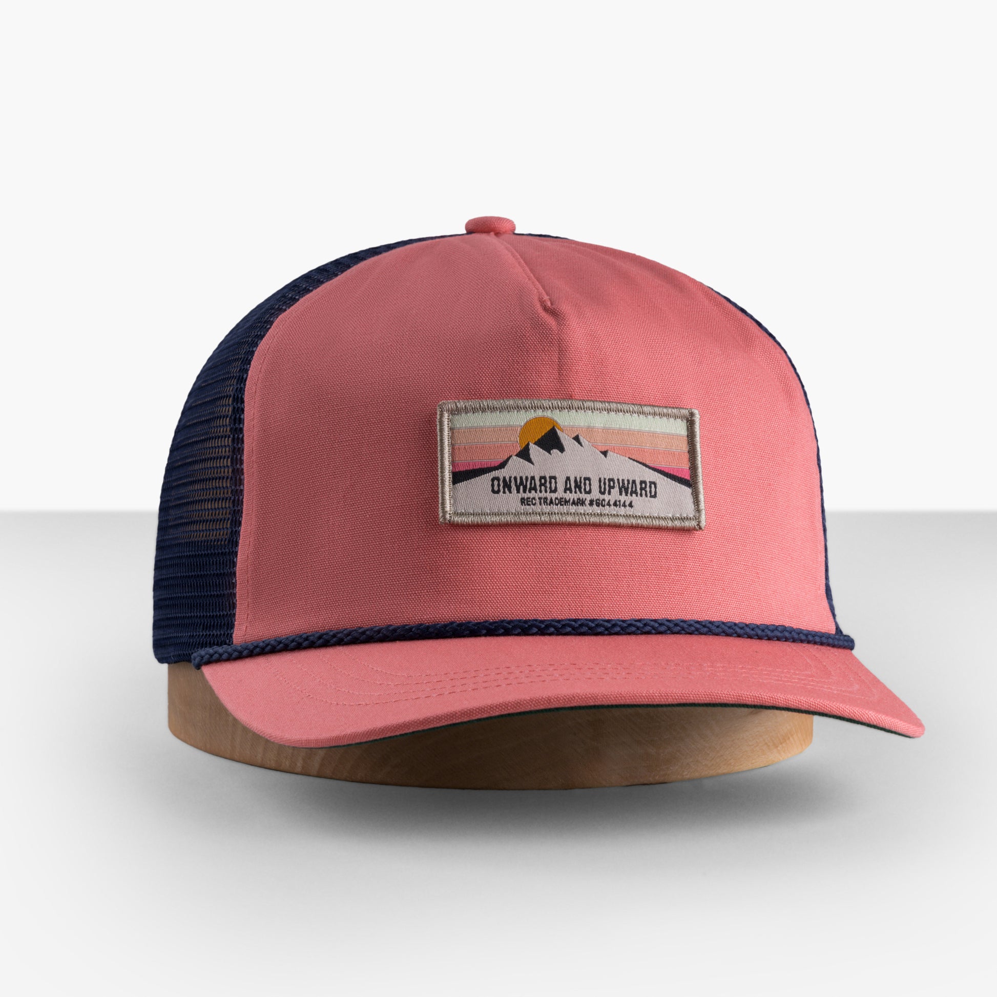 Salmon